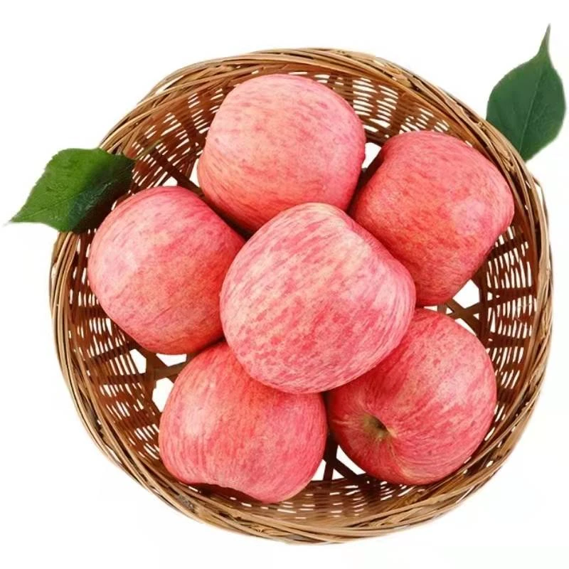 【自然搭档】洛川红富士苹果4斤/5斤/8.5斤 陕西延安苹果新鲜水果