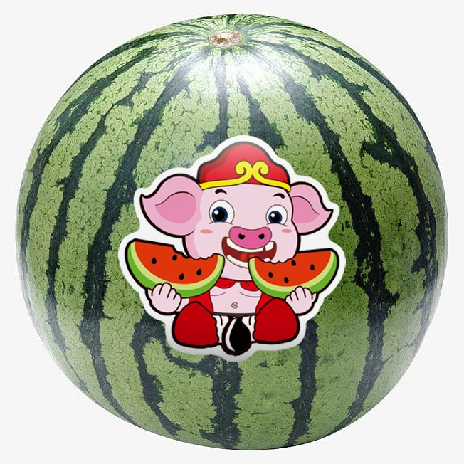 大西瓜贴不干胶水果标签贴纸可定制铜版纸不干胶提示展示用