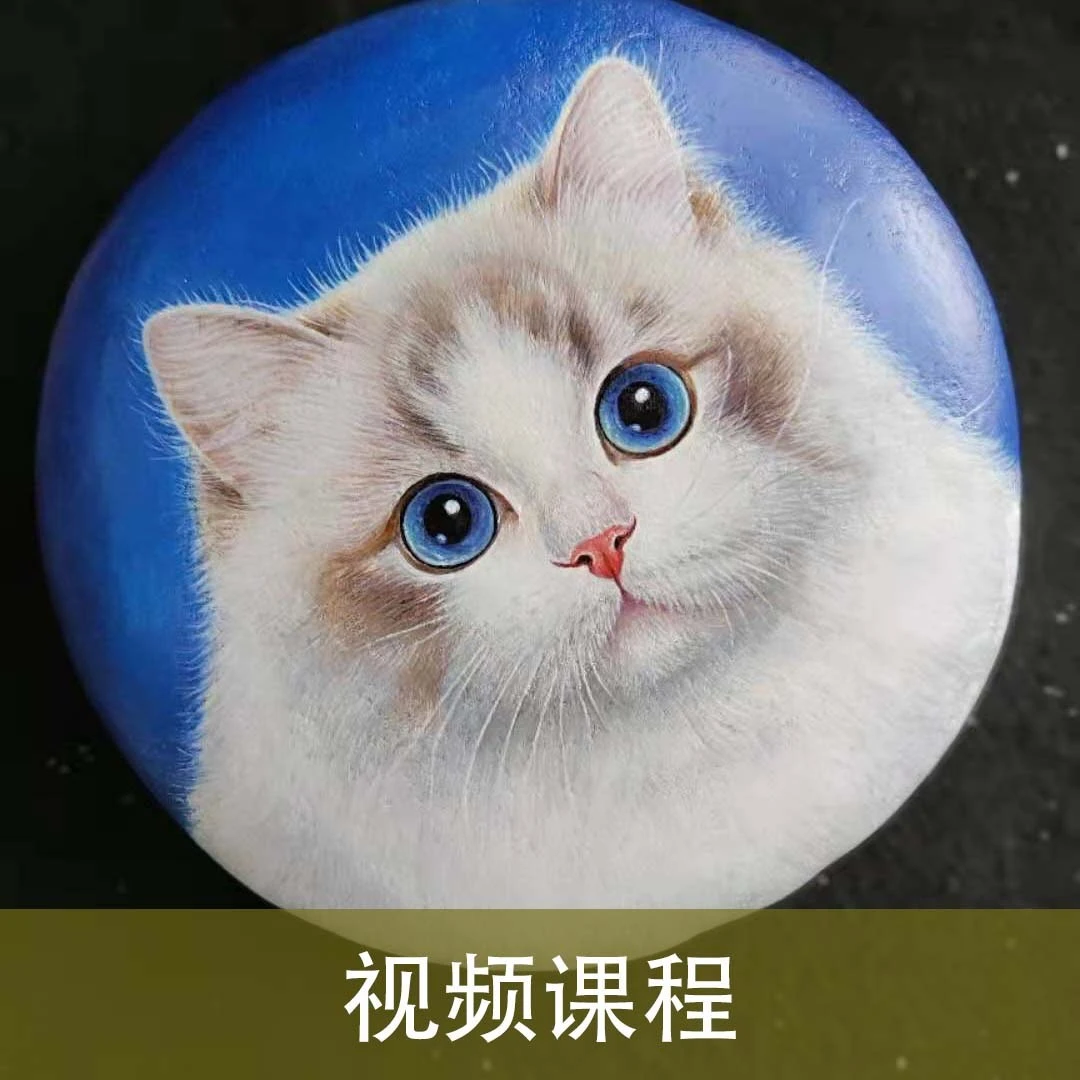 糖糖石头画网课教程《布偶猫》非实物