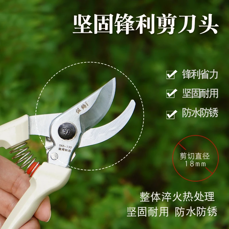 台湾佐鹤130果枝剪