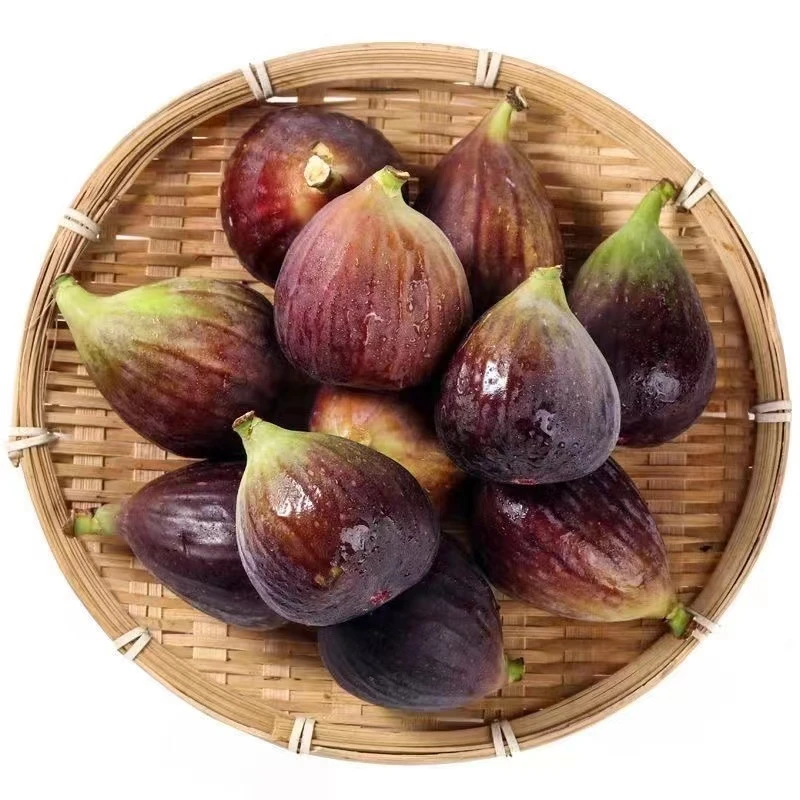无花果鲜果云南红皮无花果顺丰包邮