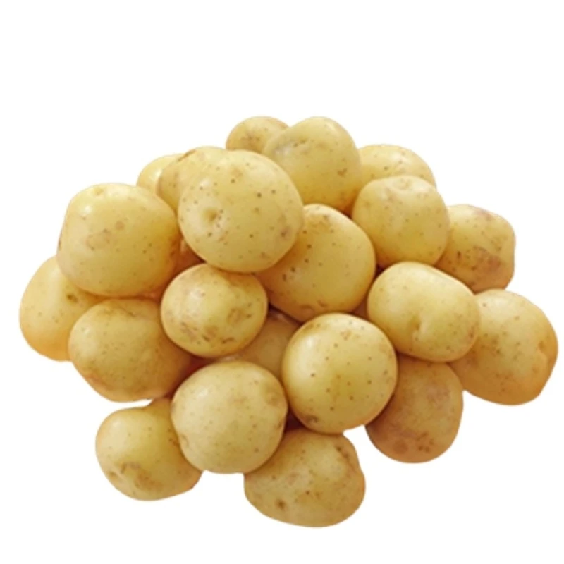 恩施马尔科土豆五斤包邮