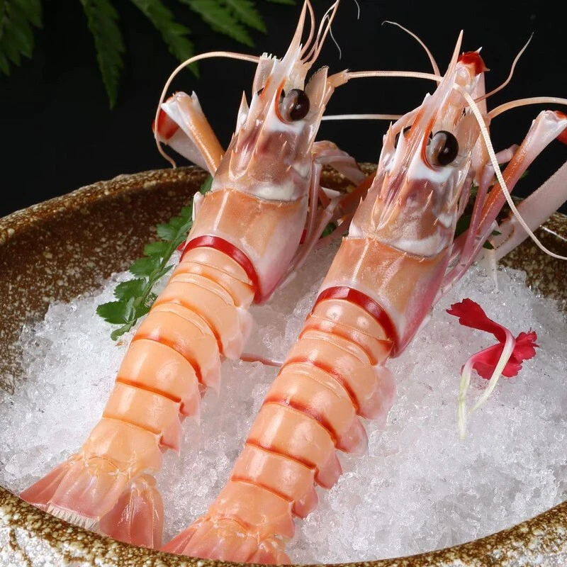 今嘉新西兰深海鳌虾海鲜1000g特大号10-15只鲜活生冻斯干比海鳌虾精品