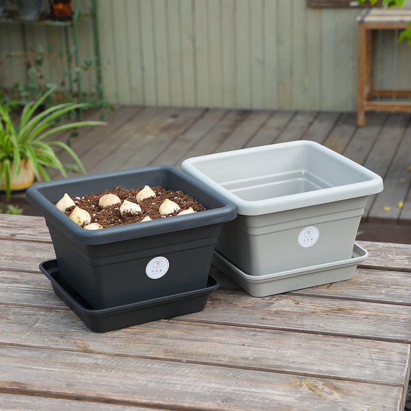 中怡美树脂花盆铃兰花朱顶红矮牵牛球根草花百合郁金香盆栽专用盆