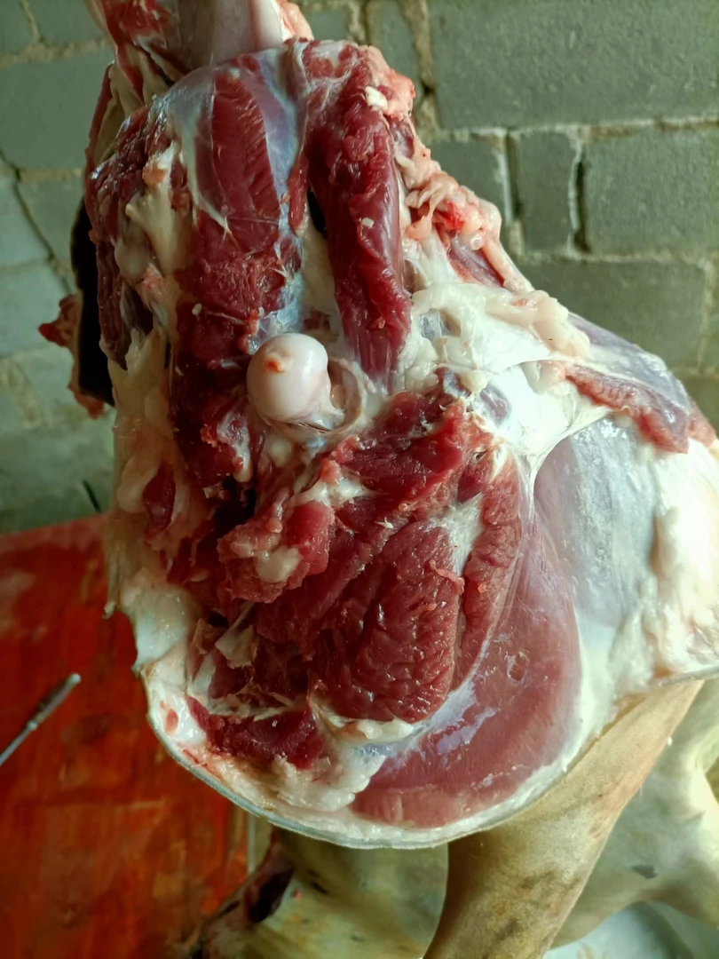 贵州小耳朵黑山羊后腿肉三斤起拍顺丰包邮