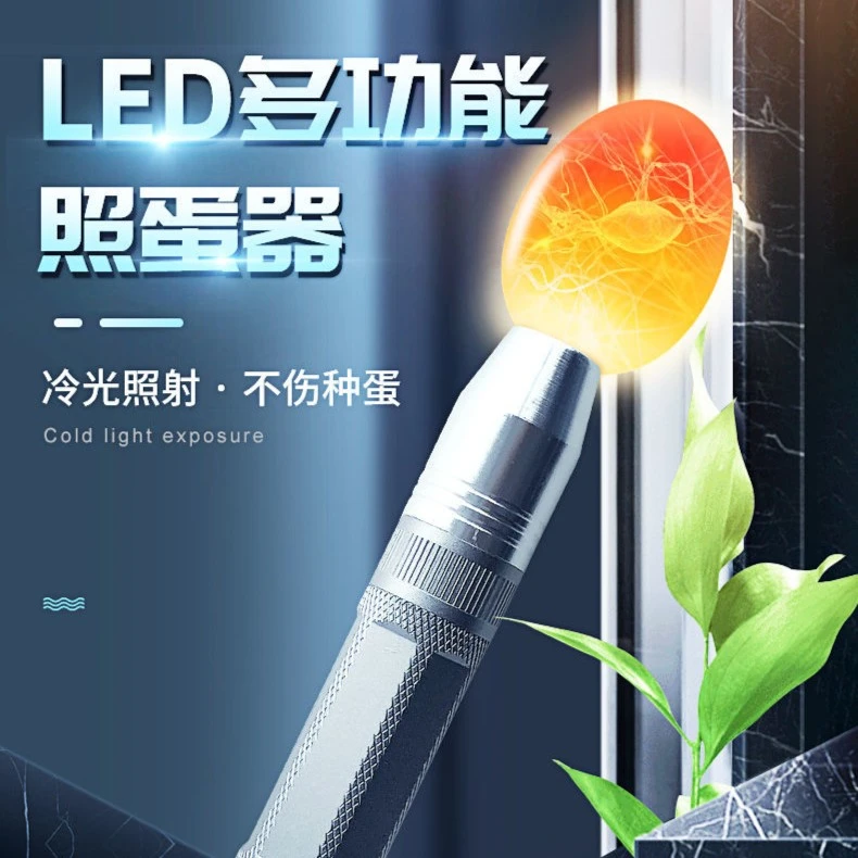 芦丁鸡冷光种蛋照蛋器孵化专用照蛋灯鸡鸭鹅鸽子鹌鹑LED照蛋器