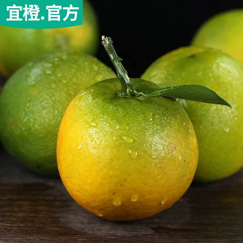 宜橙榨汁橙子夏橙绿橙5斤9斤偏酸甜多汁湖北秭归当季现摘新鲜水果