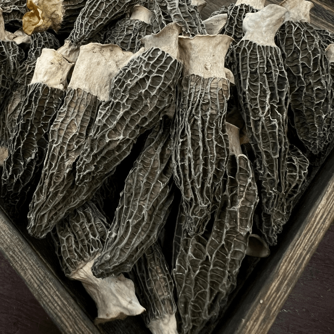 【佳宜严选】精选 5-7cm头茬高原羊肚菌 肉厚足干