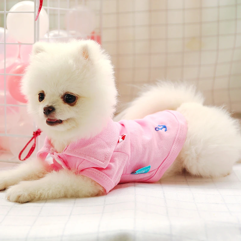 可爱宾利小熊狗狗衣服夏季舒适polo衫两脚衣猫咪宠物服饰