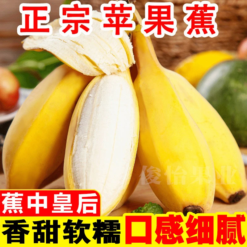 【俊怡果业】正宗广西苹果蕉香甜5斤应季水果香蕉西贡蕉整箱批发