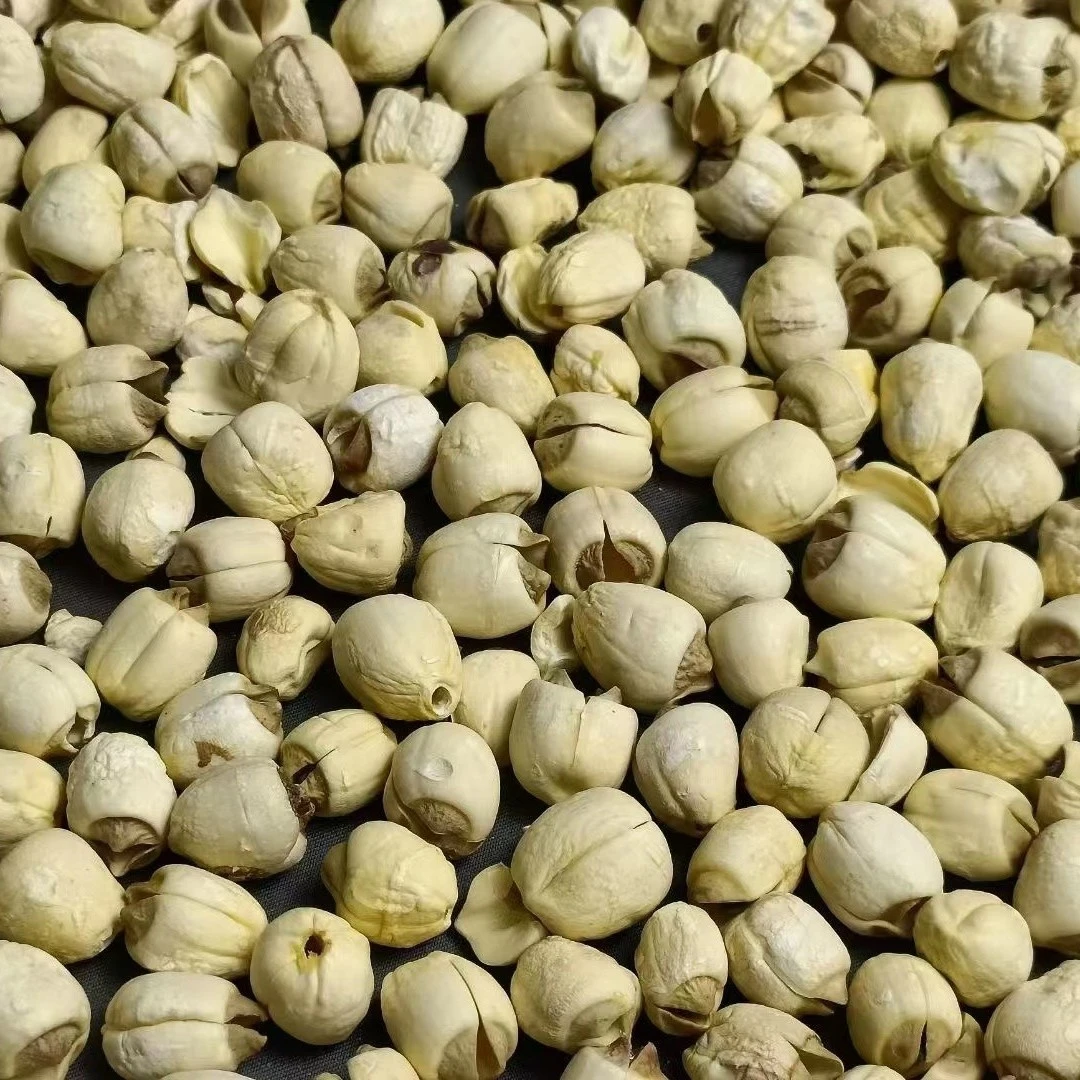 广东鱼胶 君君严选 建宁莲子 1-500g