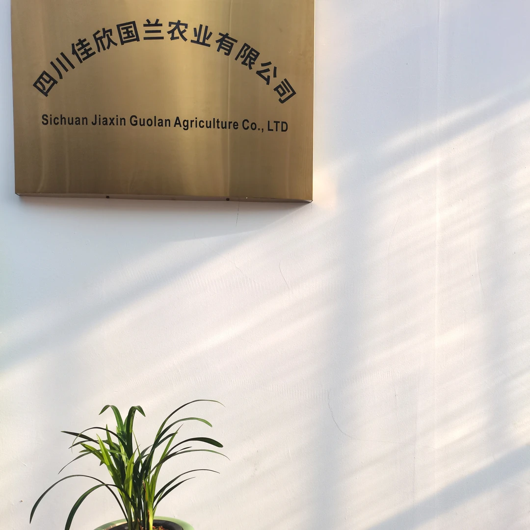 四川佳欣国兰  直播间兰花一物一拍   原生种自然养殖兰花包邮