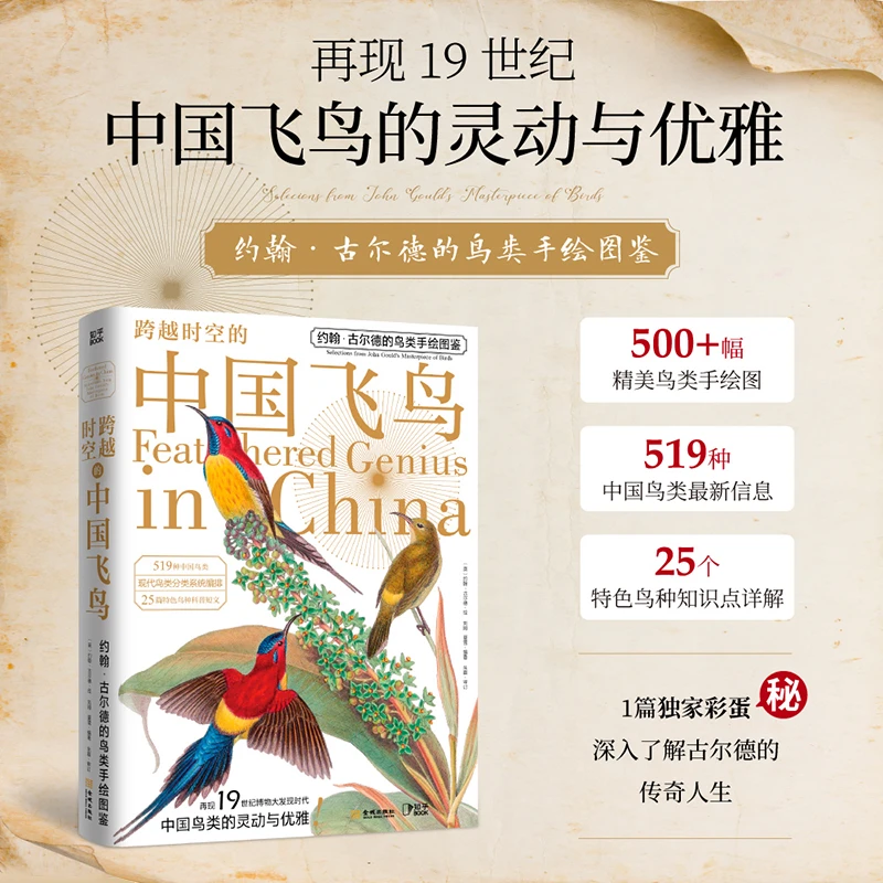 跨越时空的中国飞鸟 附赠装裱画 鸟类经典