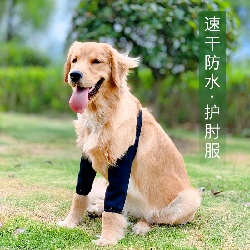 宠物护膝金毛狗狗护肘衣服防灰关节保护防磨拉布拉多中型犬大型犬