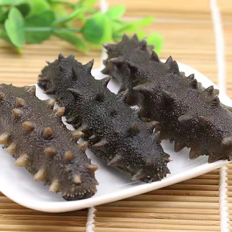 【年货节】侯大叔深海海参拉缸盐海参半干海参500g海参
