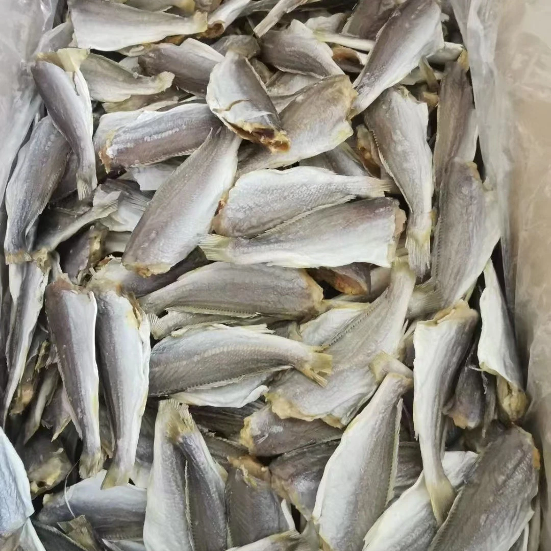 广东湛江或仔鱼干香煎红烧咸香下饭海鲜干货