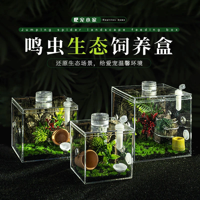 新款高透鸣虫生态盒蝈蝈盒油葫芦蛐蛐扎嘴跳蛛竹蛉螳螂昆虫盒