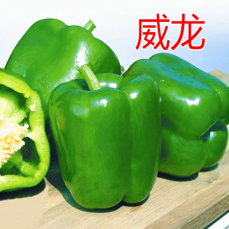 菜椒种子辣椒苗甜椒薄皮灯笼椒种籽长方椒柿子椒辣椒四季蔬菜威龙