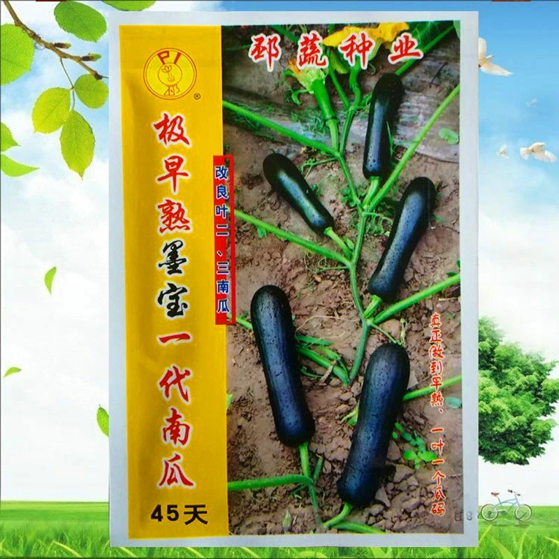 极早熟墨宝南瓜种子节节有瓜七叶瓜小南瓜四季蔬菜庭院阳台包邮