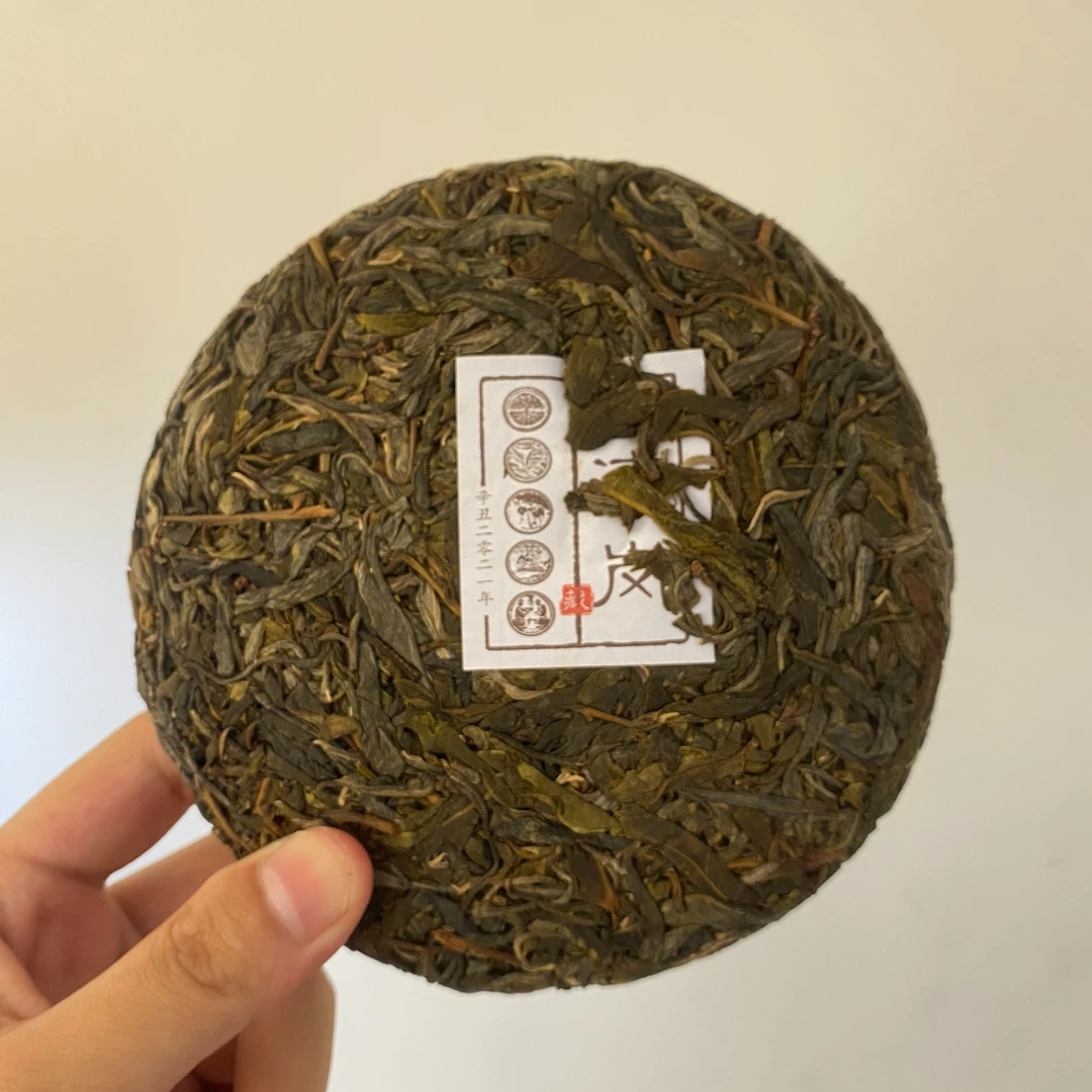 鹰边箐2021滚岗大树生普200g饼茶