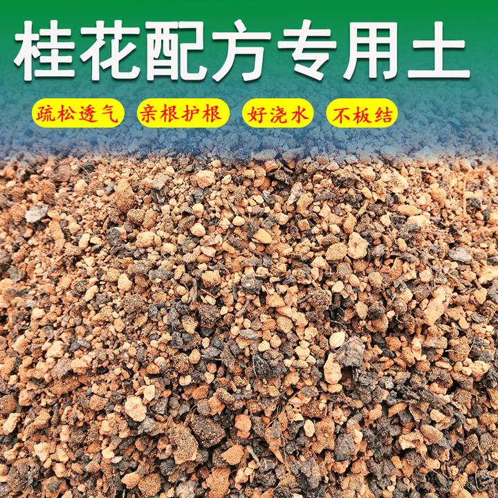 桂花专用土红土基质疏松加营养土好浇水有机营养丰富花期长矿物质