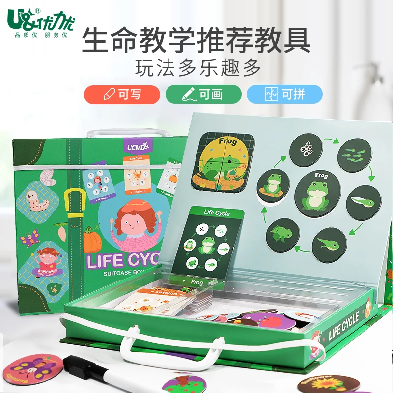 儿童探索生命周期拼图益智玩具女孩男孩宝宝磁性多功能玩具