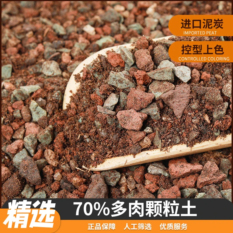 多肉土专用颗粒营养土植物进口泥炭种植土铺面70%颗粒土船长花园