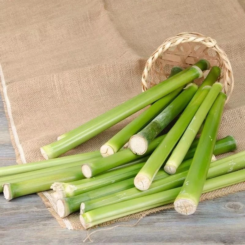 崇明特产甜芦粟 露天种植新鲜甜杆甜高粱秆 现发现砍3斤装