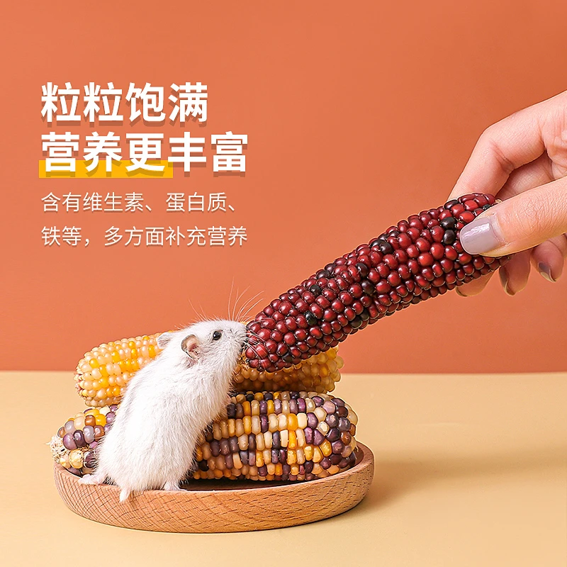 仓鼠新鲜迷你优质小玉米健康营养防潮磨牙零食兔子龙猫金丝熊爱吃
