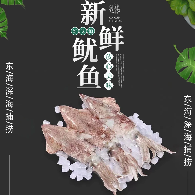 【8.29新到】彬哥Bingo东海特大鱿鱼特枪乌贼火箭鱿不泡水鱿鱼1500g