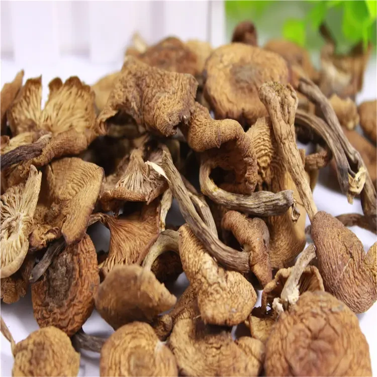 长白山 干榛蘑 250克、500克/袋