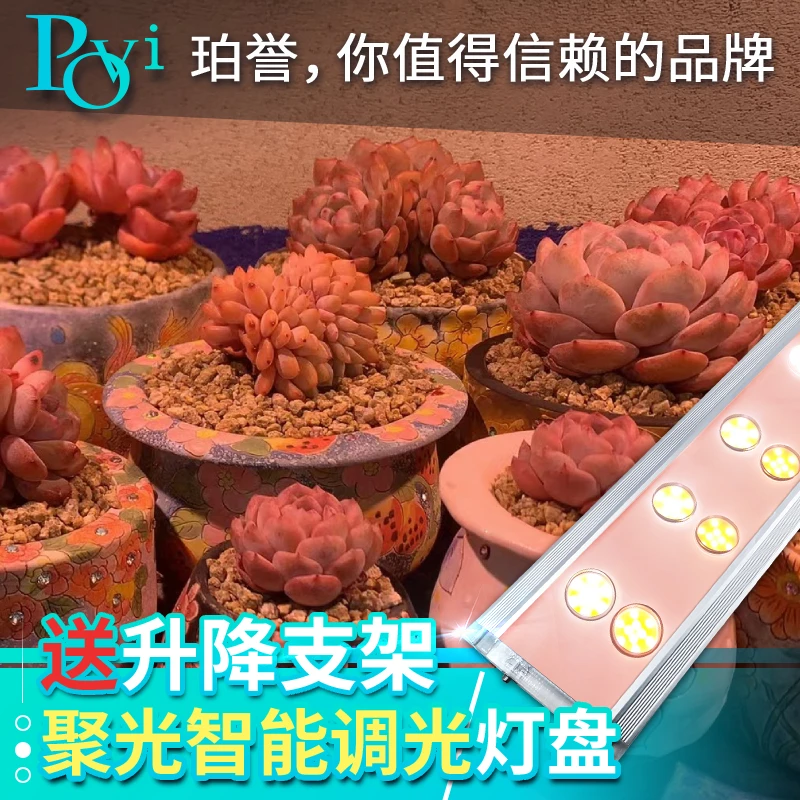 【飞翔 推荐】 珀誉多肉补光灯上色全光谱家用防徒仿太阳植物生长灯