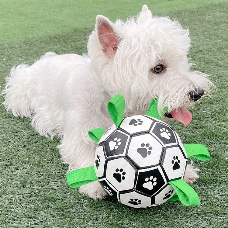 【宠物互动足球玩具】耐咬磨牙宠物大小型犬抛掷弹力球设计弹性耐用