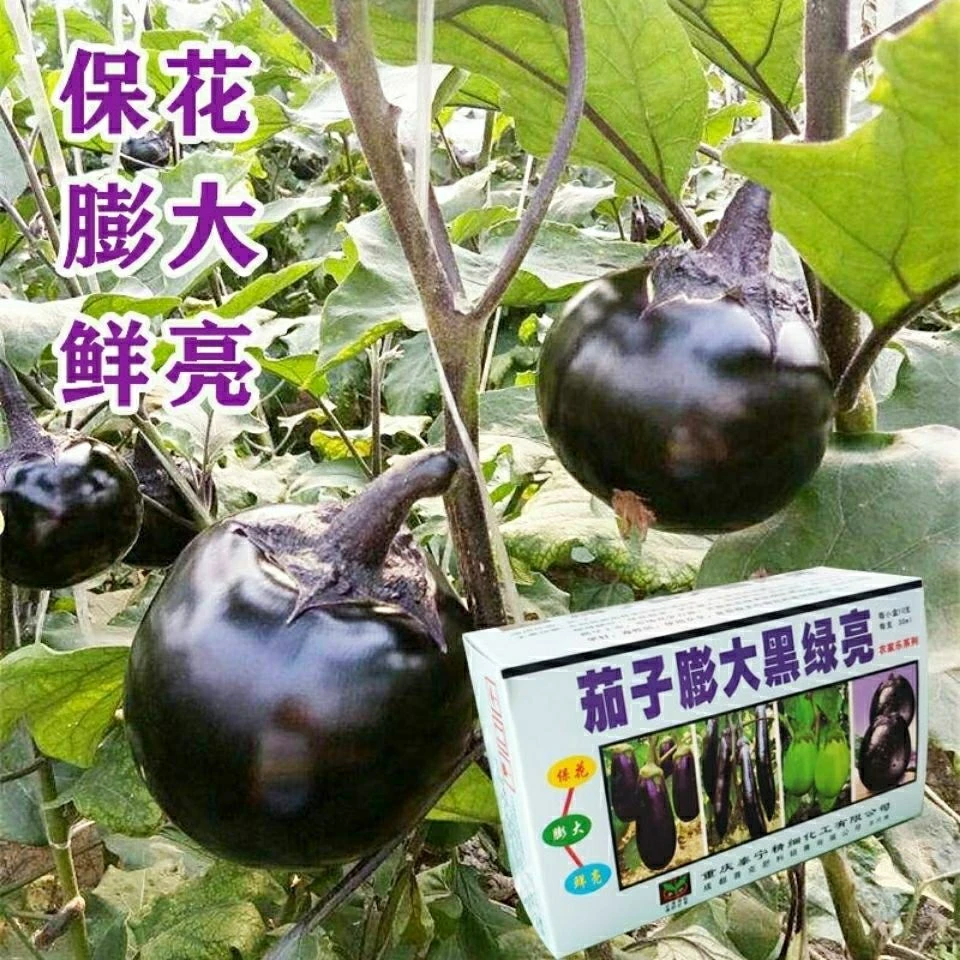 茄子专用膨大黑绿亮抗病保花保果防畸落防裂增产氨基酸喷施叶面肥