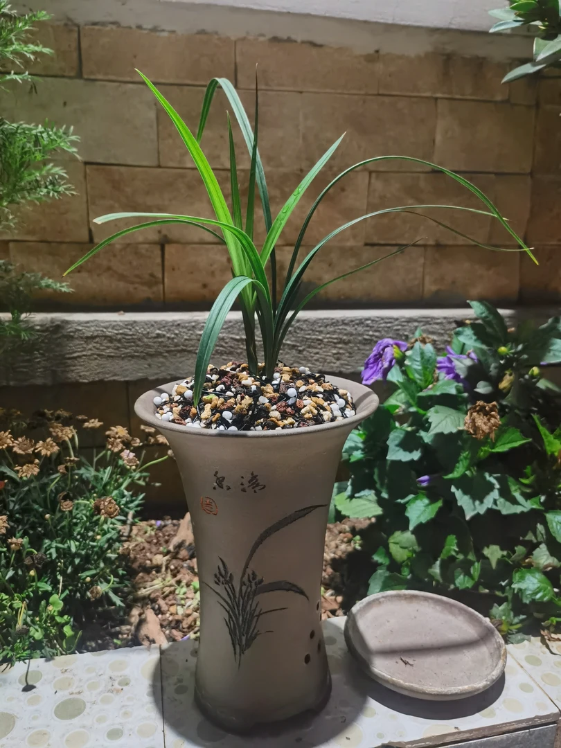 飞龙兰业小黄车专用