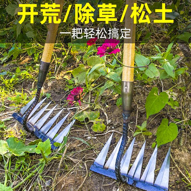 丹箐 耙子农用铁耙子六齿锄头除草耙子新款锄耙开荒松土 种草评价 抖音