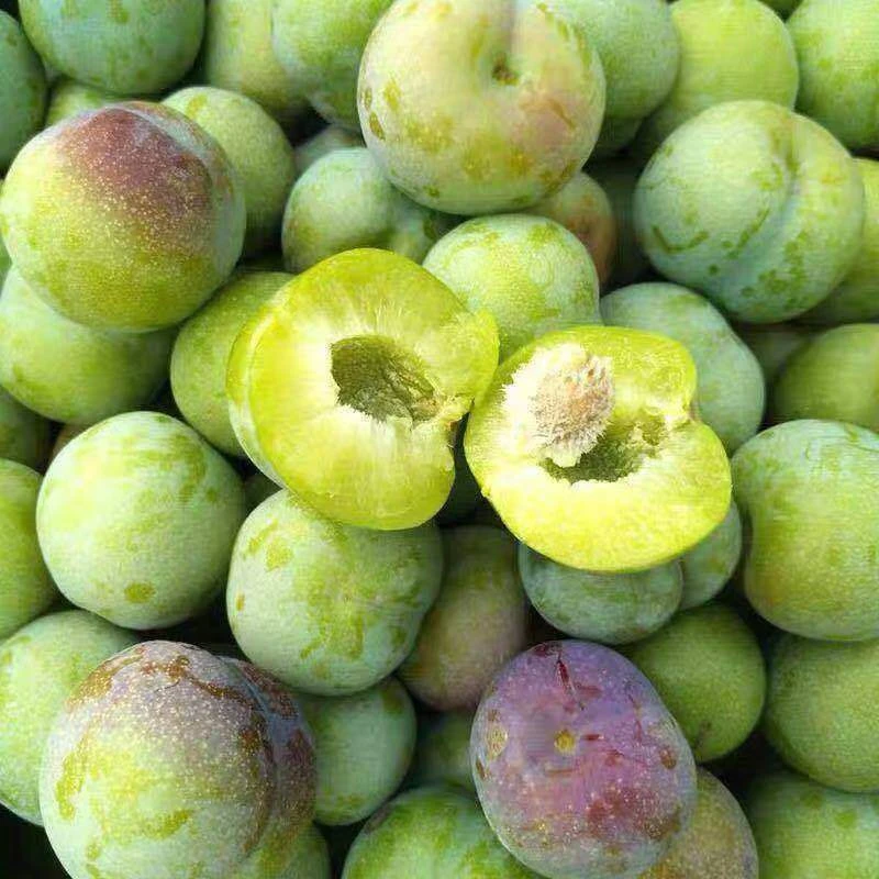 【顺丰发货】四川眉山茵红李半边红脆李子脱骨李果园直发