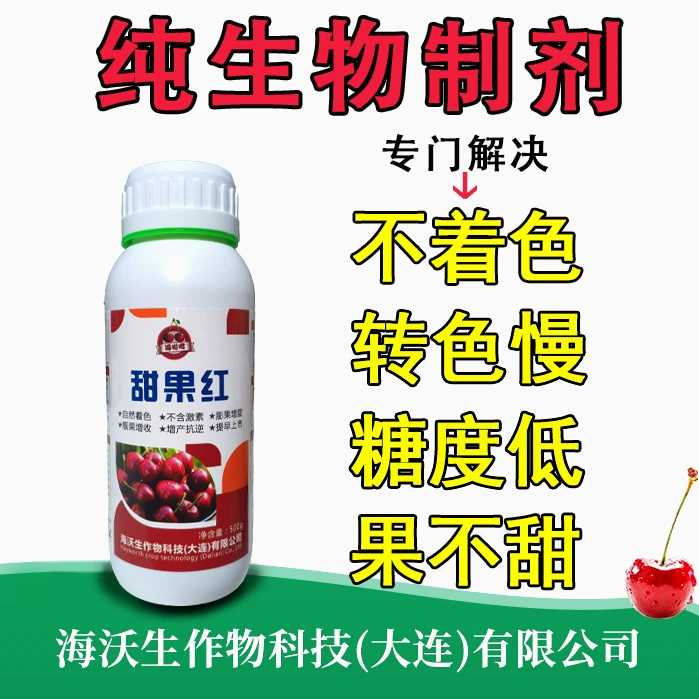 甜果红提前上市，转色增甜口感好！