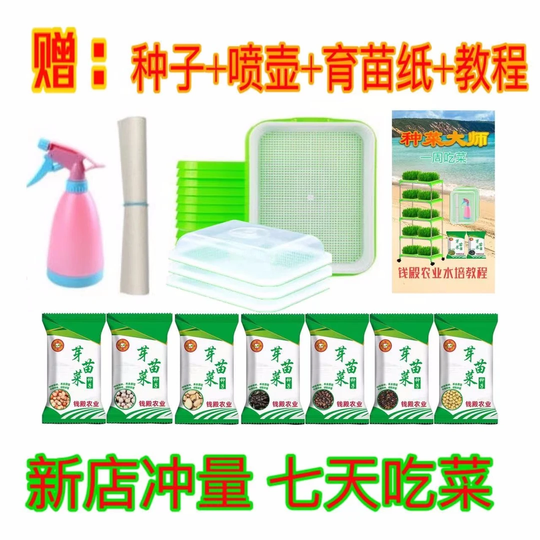 芽苗菜培育盘套装喷壶育苗纸