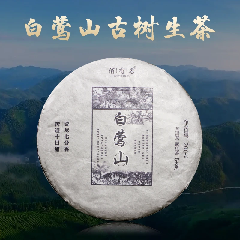 2022年白莺山头春古树生茶200克/饼