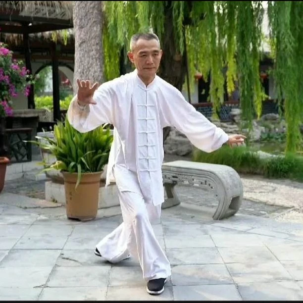 24式太极拳练习（共24节）