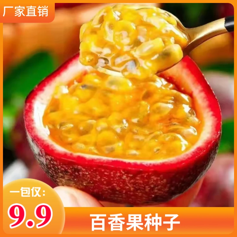 百 香果种子四季播满天星紫香西番莲盆栽爬藤菜籽种苗蔬菜百香果