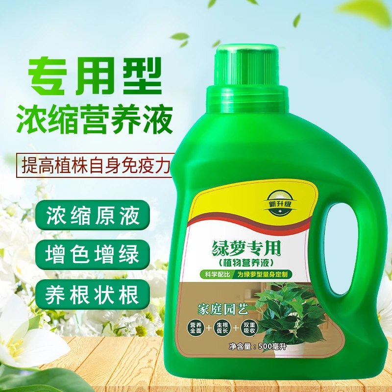 绿萝专用营养液浓缩型魔鬼藤黄金葛黄金藤花肥料有机肥植物液体肥