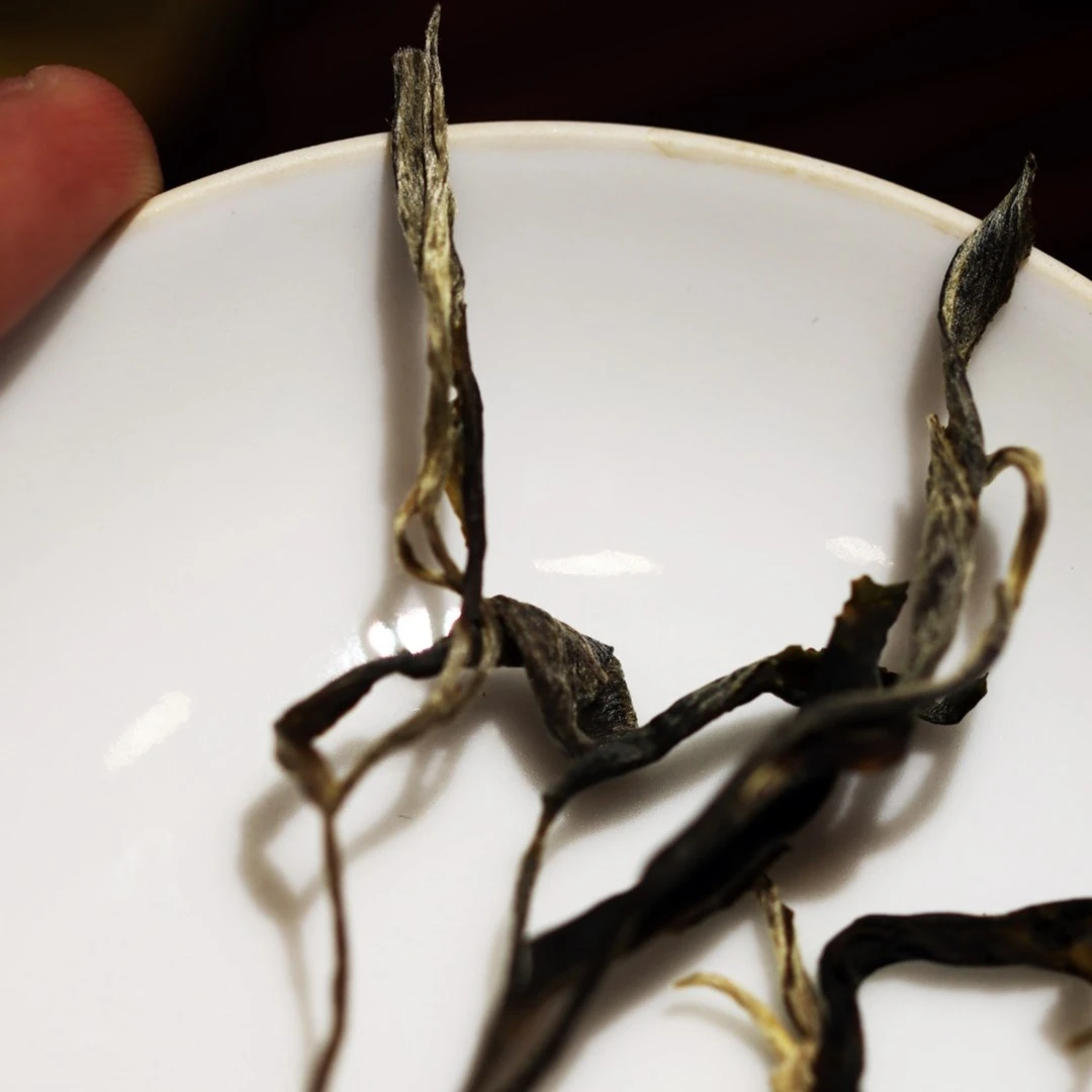 【纯品系列】2024新茶 易武风情 花蕊浓蜜橄榄香 生普洱