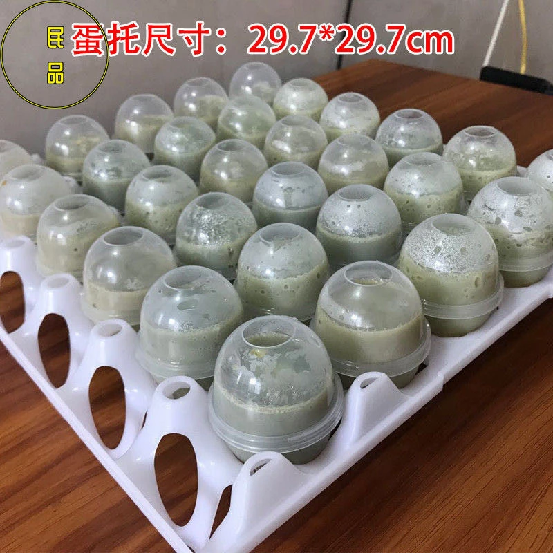 实蛋模具蒸实蛋石蛋模具做实蛋的模具耐高温塑料鸡蛋壳实蛋制作