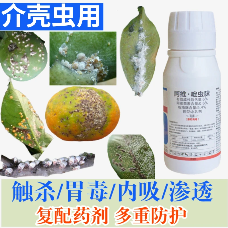 柑橘果实蚧壳虫药治蚧虫用的杀介壳虫农药复配树打白粉虫药杀虫剂