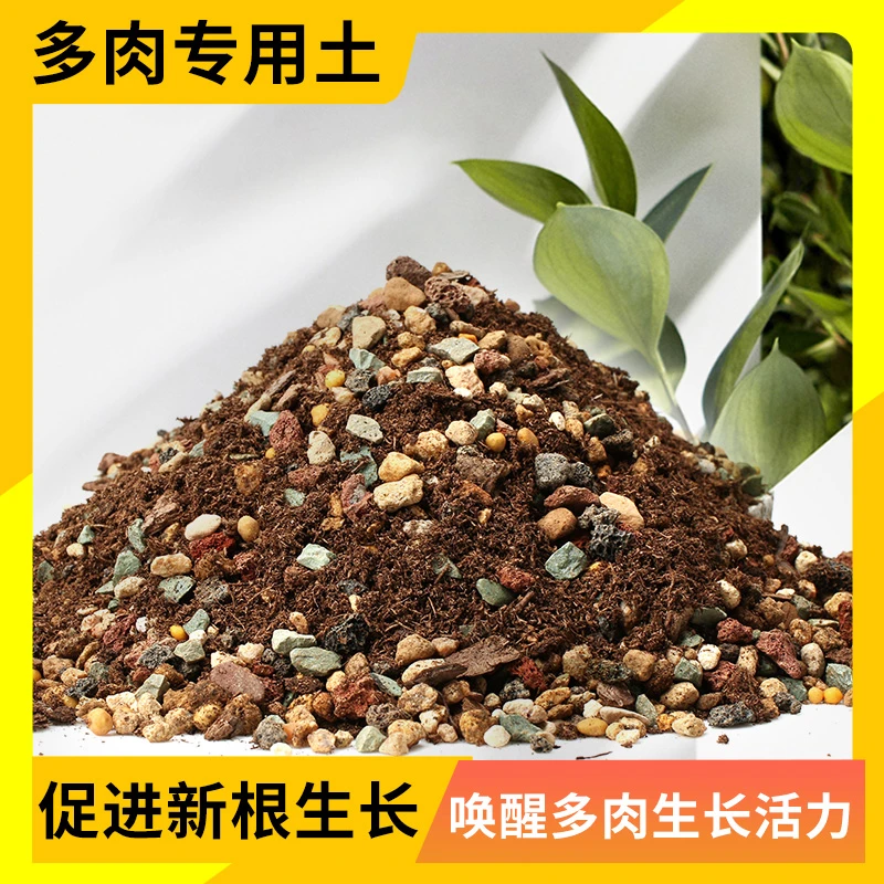 多肉专用颗粒营养土多种天然颗粒疏松控型发根上色多肉土有机植物