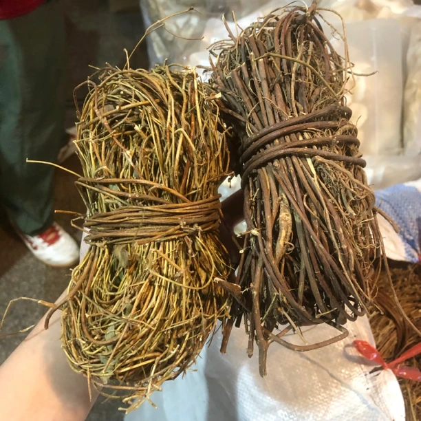 鸡骨草 煲汤煲猪横利 250g/半斤