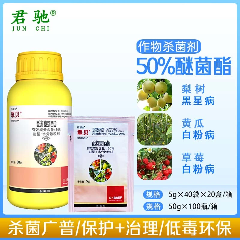 德国巴斯夫翠贝醚菌酯月季多肉白粉病黑星病黑斑病专用农药杀菌剂