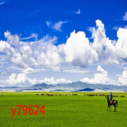 yy直播背景墙海景视频直播间主播3d山水外景网红快手网红背景布